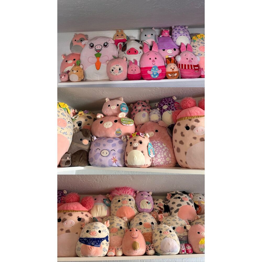 Squishmallow Pig Lot Plush Collection Rosie Peter Gwendle Multi Size Series NWT
